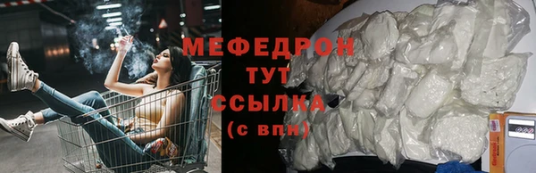 шишки Магас