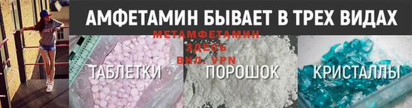шишки Магас