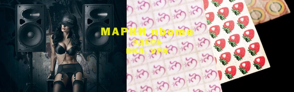 шишки Магас