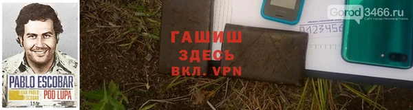 шишки Магас