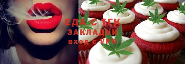 шишки Магас