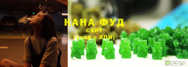 шишки Магас