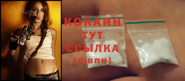 шишки Магас