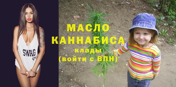 шишки Магас