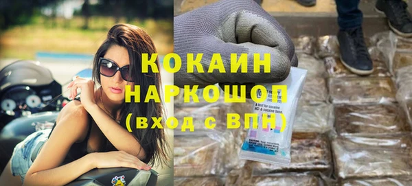 шишки Магас