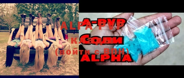 шишки Магас