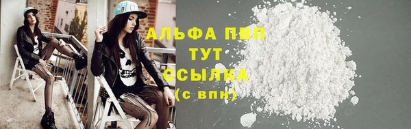 шишки Магас