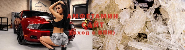 шишки Магас