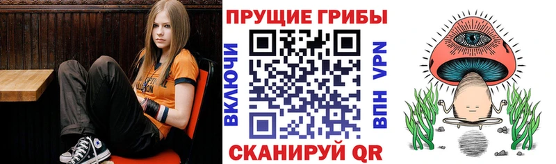 Купить  Новоузенск  Галлюциногенные грибы мухоморы 